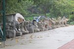 IMG_4462