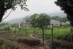 IMG_4469