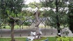 DSC01573