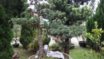 DSC01574