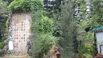 DSC01575
