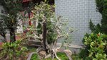 DSC01577