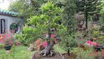 DSC01578