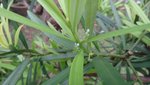 DSC01579