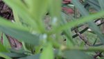 DSC01580