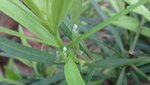 DSC01581