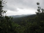 IMG_4533