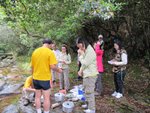 IMG_4540