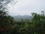 IMG_4547
