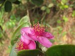 IMG_0806