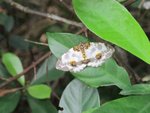 IMG_4975