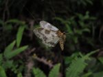 IMG_5020