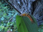 IMG_5031