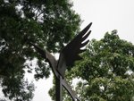 IMG_0001