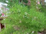IMG_0004