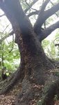 DSC01846