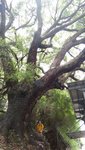 DSC01847