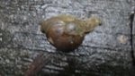 DSC01926
