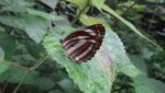 DSC01930