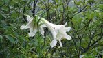 DSC01936