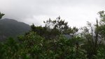 DSC01940