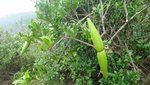 DSC01942