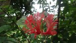 DSC01951