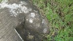 DSC01954