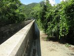 IMG_0615