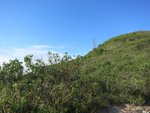 IMG_0621