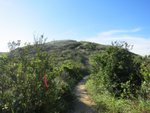 IMG_0625