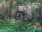 IMG_0632