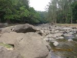 IMG_0915