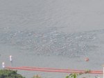 IMG_0933