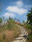 IMG_1803