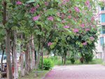 IMG_0185