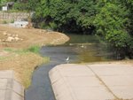 IMG_0189