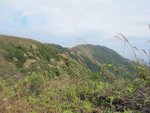 IMG_0218