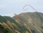 IMG_0219