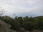 IMG_1514