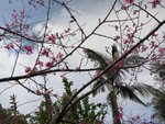 IMG_1520