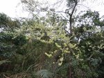 IMG_1526