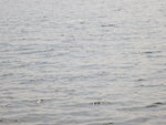 IMG_1817