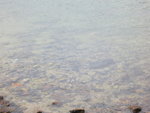 IMG_1820