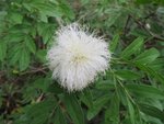 IMG_2118