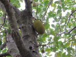 IMG_3515