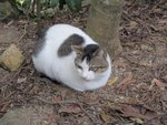 IMG_3519