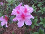 IMG_3523