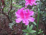 IMG_3526