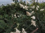 IMG_3539